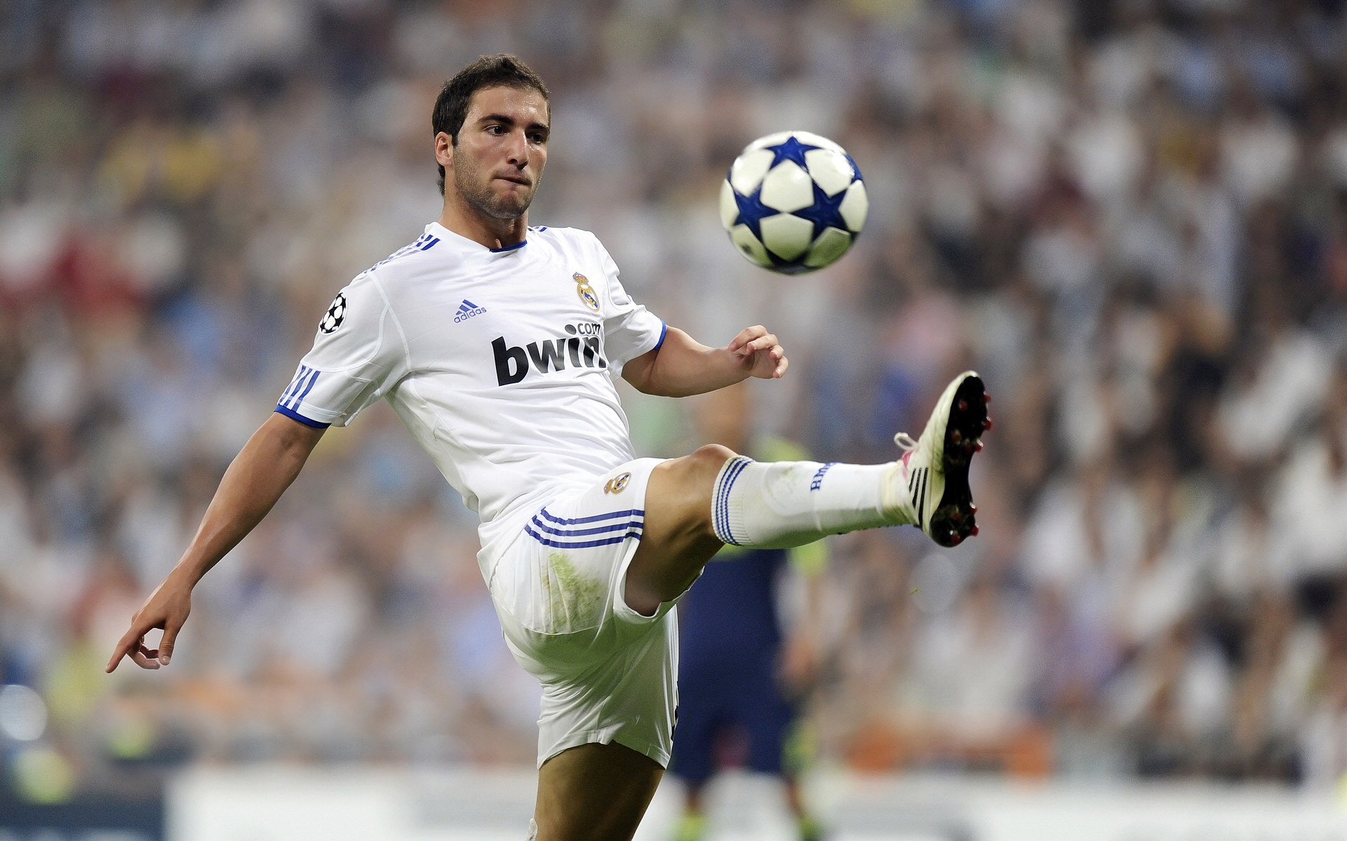 世界银发健身节 老年健身操方阵齐舞成最大亮点